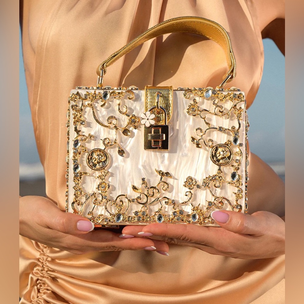 NEVER USED Acrylic Box Handbag with Dust Bag
